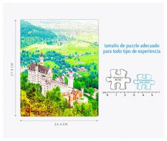 Puzzle Pintoo : Neuschwanstein Castle-80 piezas
