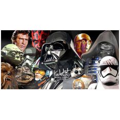 Star Wars group : set 2pcs | Pop-Art paintings Star-Wars characters