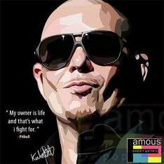 Pitbull | images Pop-Art Musique Chanteurs