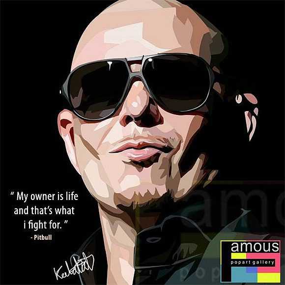 Pitbull | imágenes Pop-Art Música Cantantes