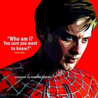 Peter Parker : ver1 | imatges Pop-Art personatges Marvel