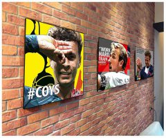 Dele Alli - Tottenham | images Pop-Art Sports football
