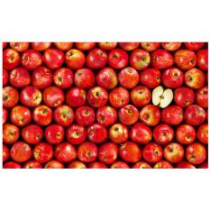 Fruits : Apple | puzzles Pintoo 1000 peces