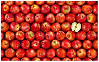 Fruits : Apple | Pintoo puzzles 1000 pieces