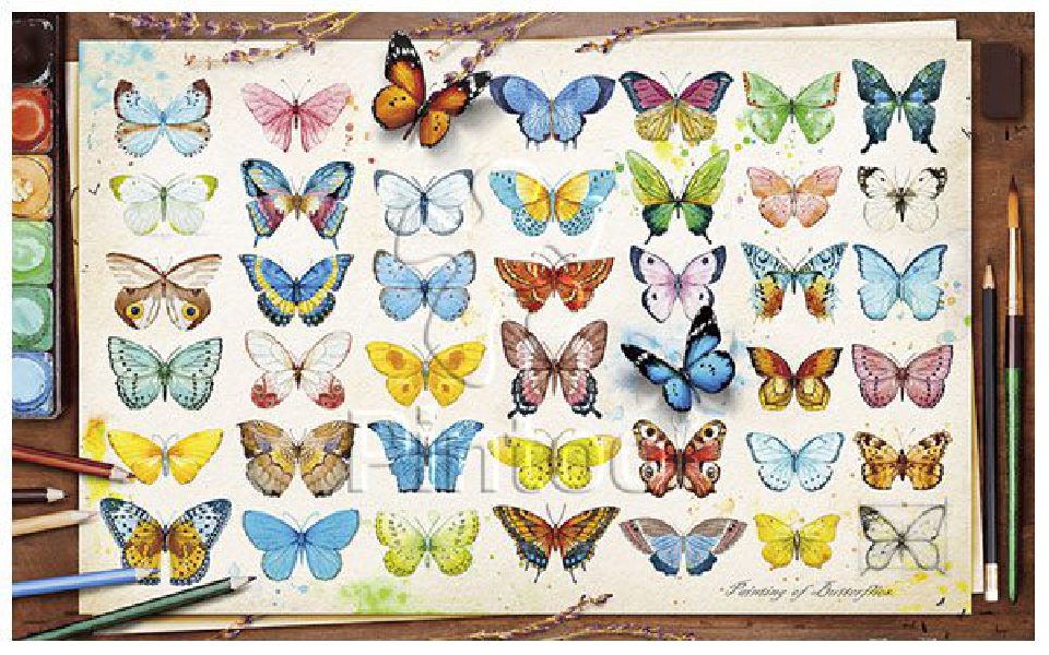 Beautiful Butterflies | puzzles Pintoo 1000 piezas