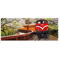 Forest Train in Alishan National Park | Pintoo puzzles 1000 pieces