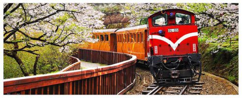 Forest Train in Alishan National Park | Pintoo puzzles 1000 pieces