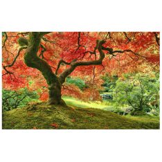 Japanese Garden in Portland | puzzles Pintoo 1000 pièces