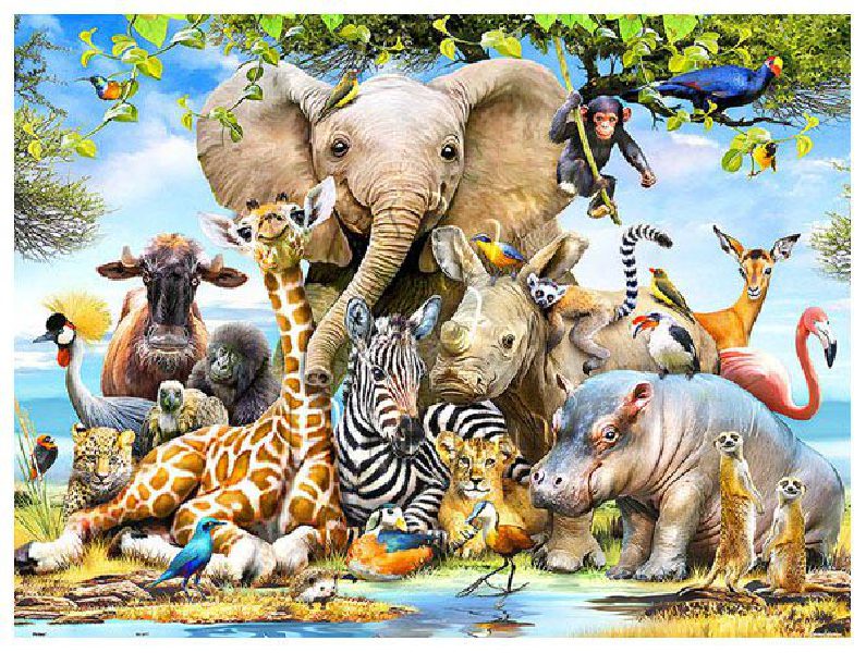 Howard Robinson : Africa Smile | Pintoo puzzles 1200 pieces