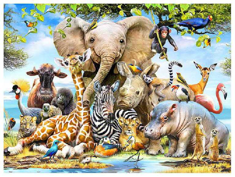 Howard Robinson : Africa Smile | puzzles Pintoo 1200 peces