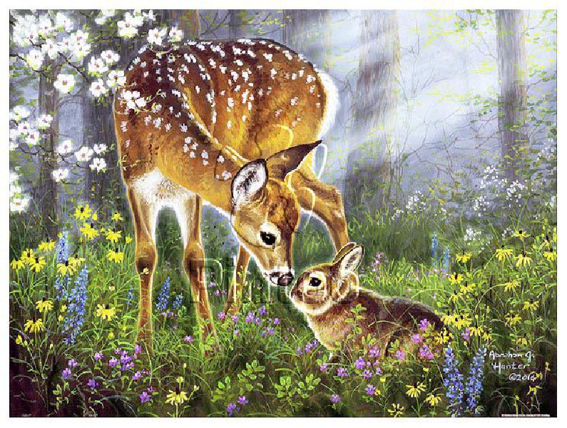 Abraham Hunter : Forest Friends | puzzles Pintoo 1200 peces