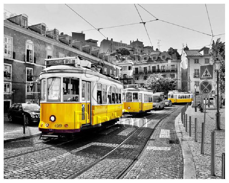 Yellow Trams in Lisbon | puzzles Pintoo 2000 peces