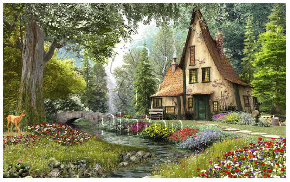 Dominic Davison : Toadstool Cottage | puzzles Pintoo 4000 piezas