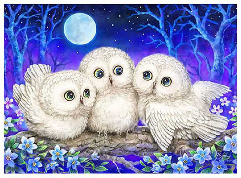 Kayomi : Owl Triplets | puzzles Pintoo 300 pièces