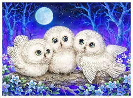 Kayomi : Owl Triplets | Pintoo puzzles 300 pieces