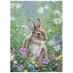 Abraham Hunter : Spring Bunny | Pintoo puzzles 300 pieces