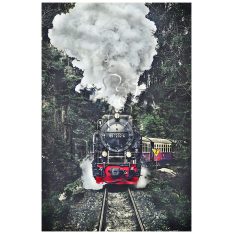The Steam Train : Switzerland | Pintoo puzzles 600 pieces