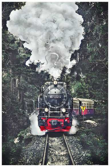 The Steam Train : Switzerland | puzzles Pintoo 600 piezas