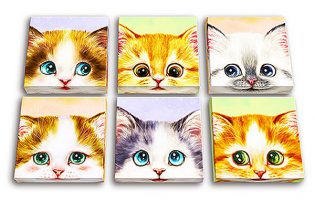 Kayomi : Curious Kittens | puzzles Pintoo 336 pièces