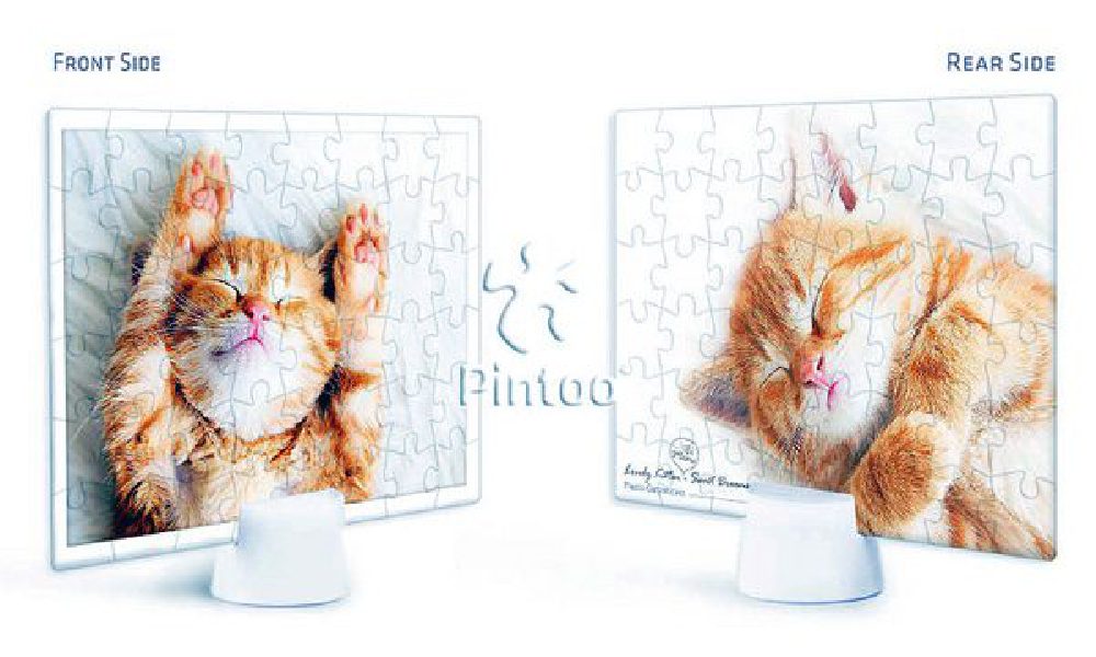 Kitten's Napping Time | Pintoo puzzles 48 pieces