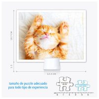 Kitten's Napping Time | puzzles Pintoo 48 peces