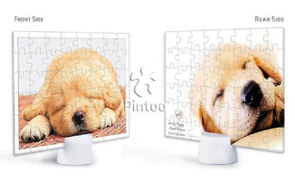 Puppy's Napping Time | puzzles Pintoo 48 piezas