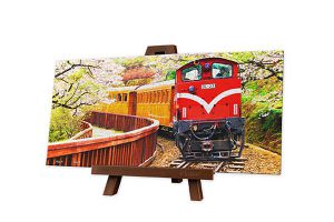 Forest Train in Alishan National Park | puzzles Pintoo 253 peces