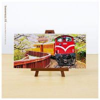 Forest Train in Alishan National Park | Pintoo puzzles 253 pieces