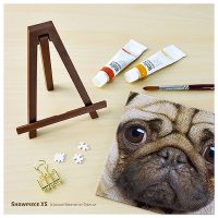 Close Up of Pug | puzzles Pintoo 256 peces