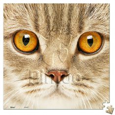Close Up of Cat | puzzles Pintoo 256 pièces