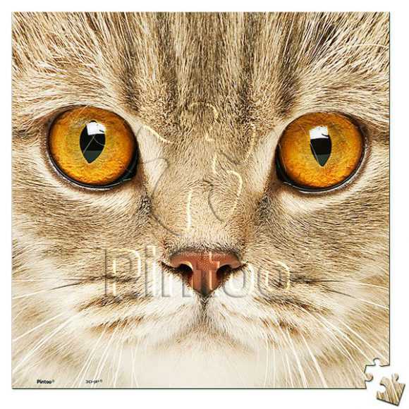Close Up of Cat | Pintoo puzzles 256 pieces