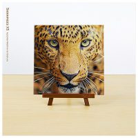 Close Up of Leopard | puzzles Pintoo 256 piezas