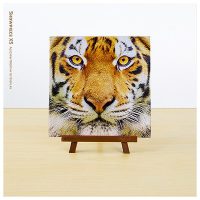 Close Up of Tiger | Pintoo puzzles 256 pieces
