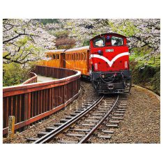 Forest Train in Alishan National Park : Taiwan | Pintoo puzzles 500 pieces