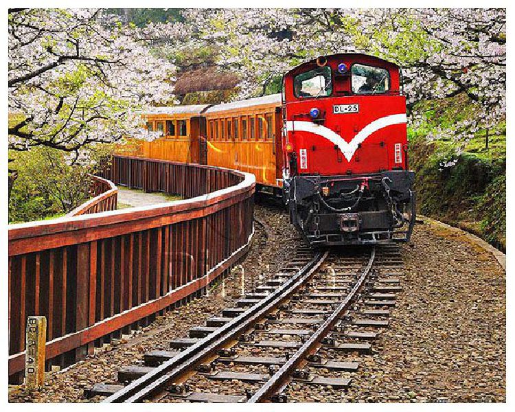 Forest Train in Alishan National Park : Taiwan | puzzles Pintoo 500 pièces