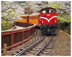 Forest Train in Alishan National Park : Taiwan | puzzles Pintoo 500 peces
