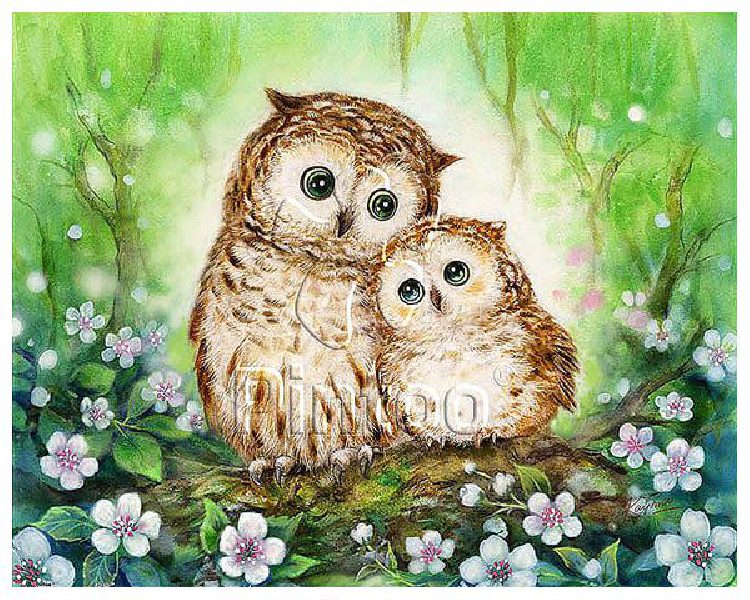 Kayomi : Owls In Green Forest | puzzles Pintoo 500 piezas