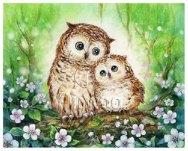 Kayomi : Owls In Green Forest | puzzles Pintoo 500 peces
