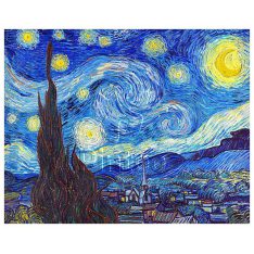 Vincent van Gogh : The Starry Night | puzzles Pintoo 500 piezas