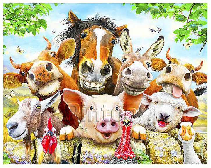 Howard Robinson : Farm selfie | puzzles Pintoo 500 piezas