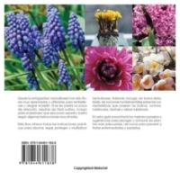 Las plantas bulbosas | Edward Bent / Aldo Colombo | libro nuevo | de saldo