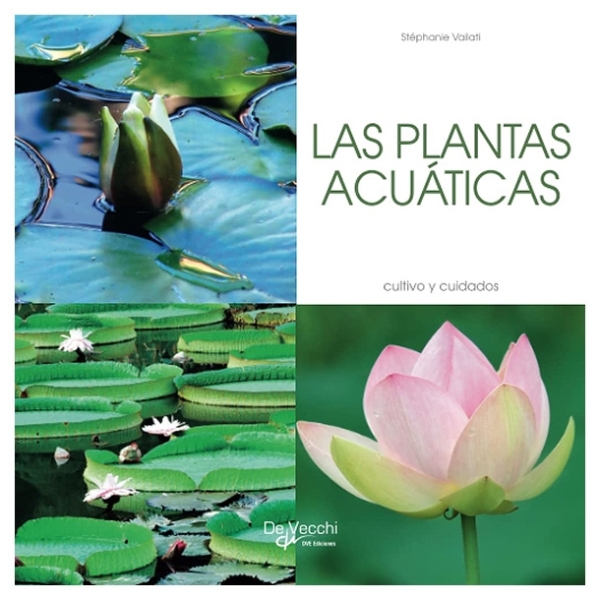 Las plantas Acuáticas | Stéphanie Vailati | libro nuevo | de saldo