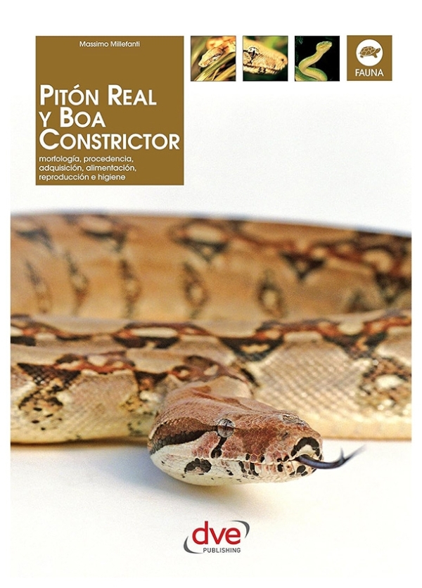 Pitón real y Boa constrictor | Massimo Millefanti | libro nuevo | de saldo