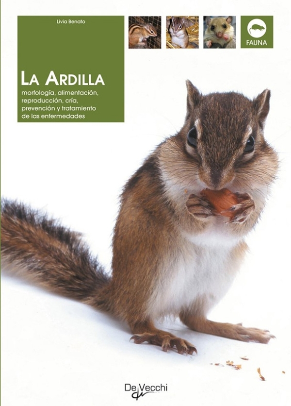 La Ardilla | Livia Benato | livre neuf | solde