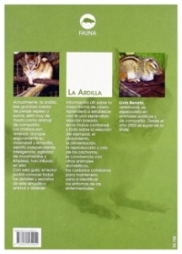 La Ardilla | Livia Benato | livre neuf | solde
