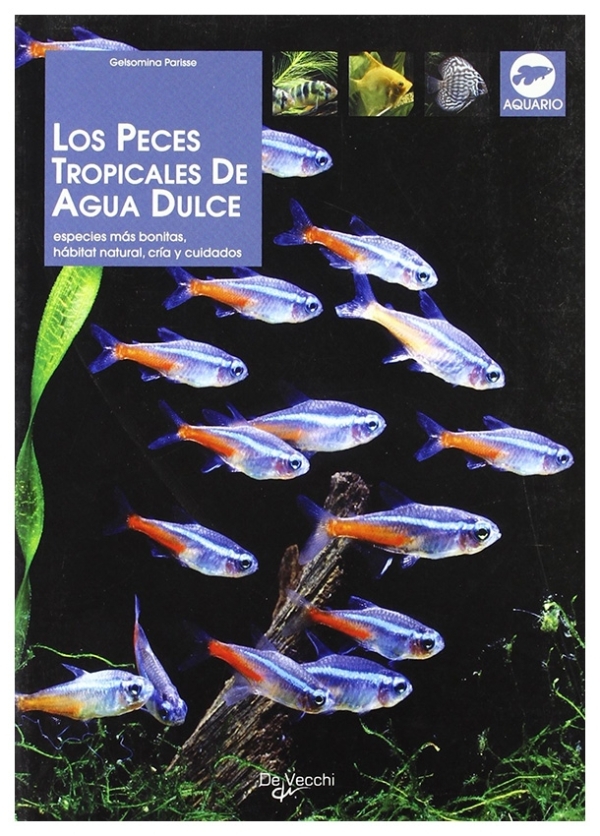 Los Peces Tropicales de agua dulce | Gelsomina Parisse | llibre nou | de saldo