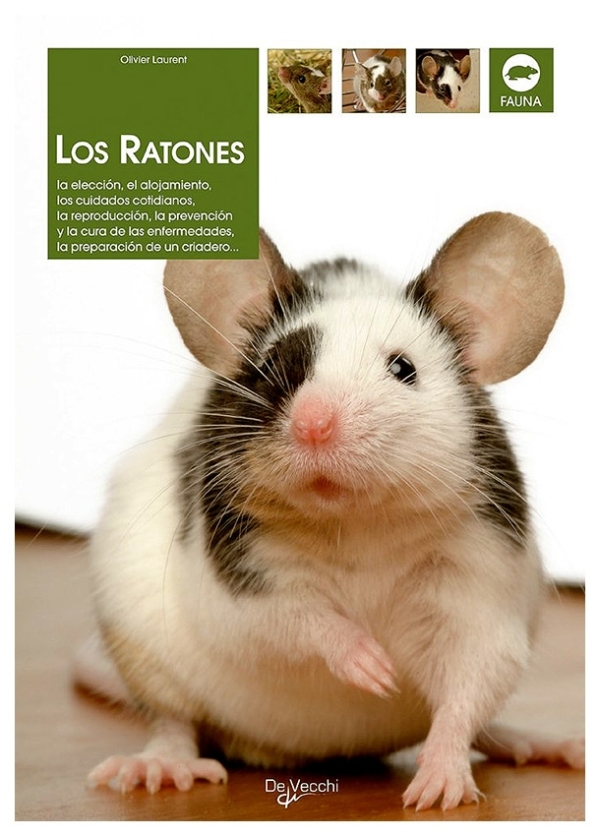 Los ratones | Olivier Laurent | llibre nou | de saldo