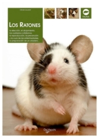Los ratones | Olivier Laurent | llibre nou | de saldo