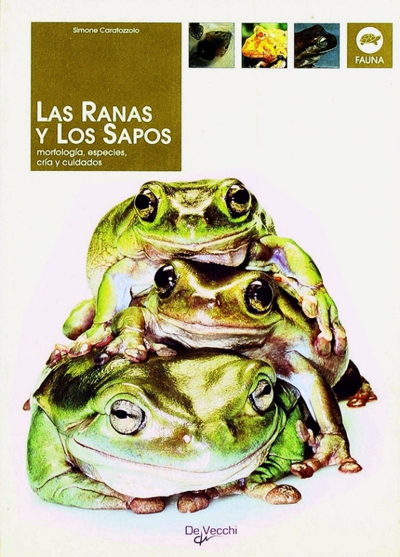 Las ranas y los sapos | Simone Caratozzolo | livre neuf | solde